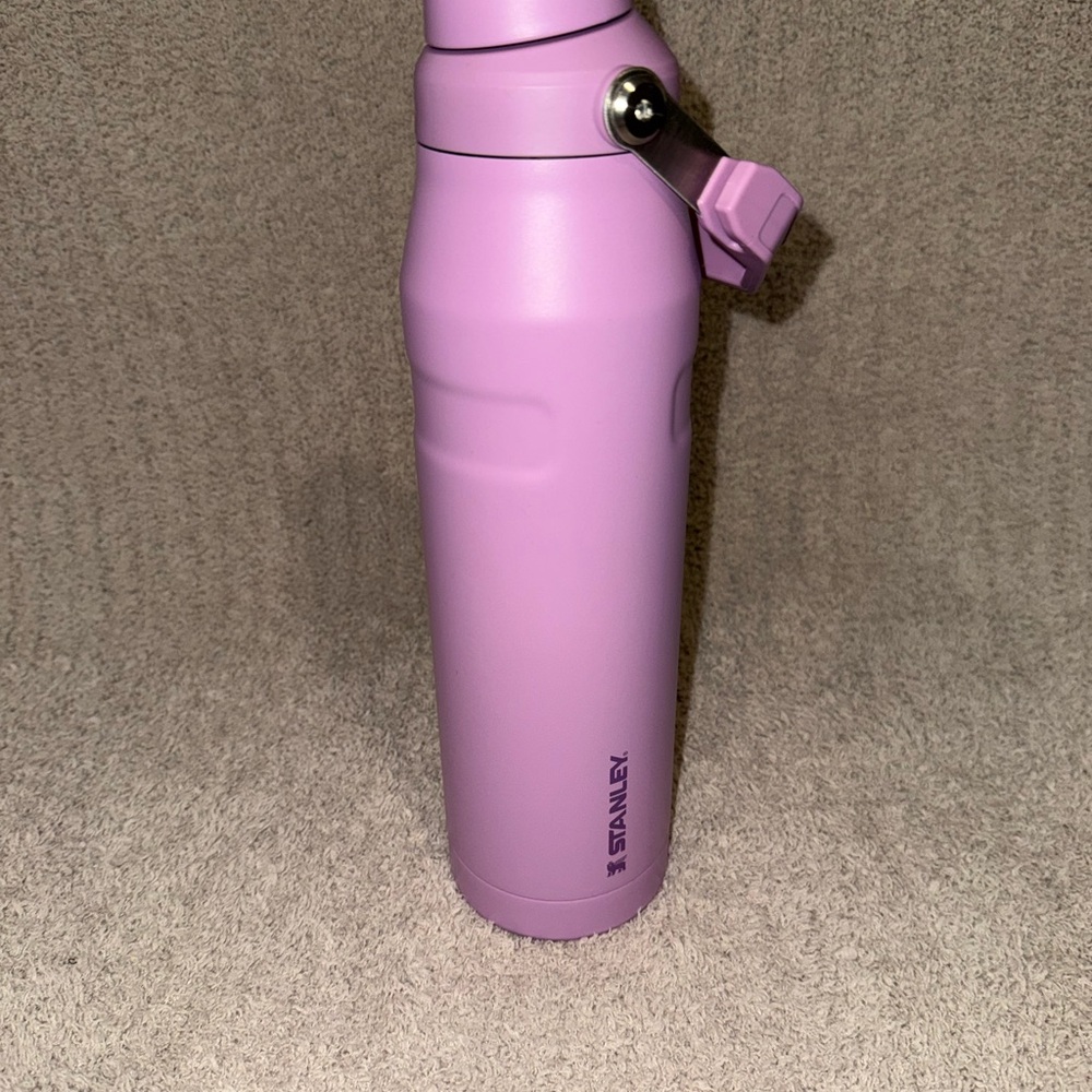 Stanley Purple Water Bottle